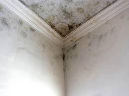 Best Residential Mold Inspection & Testing  in Dasher, GA