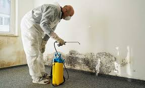 Best Industrial Mold Remediation  in Dasher, GA